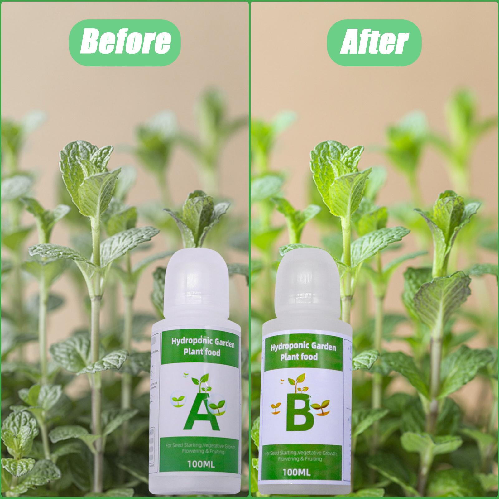 Hydroponic Nutrients Fertilize - Nutrient Solution Ab 리뷰 및 가격