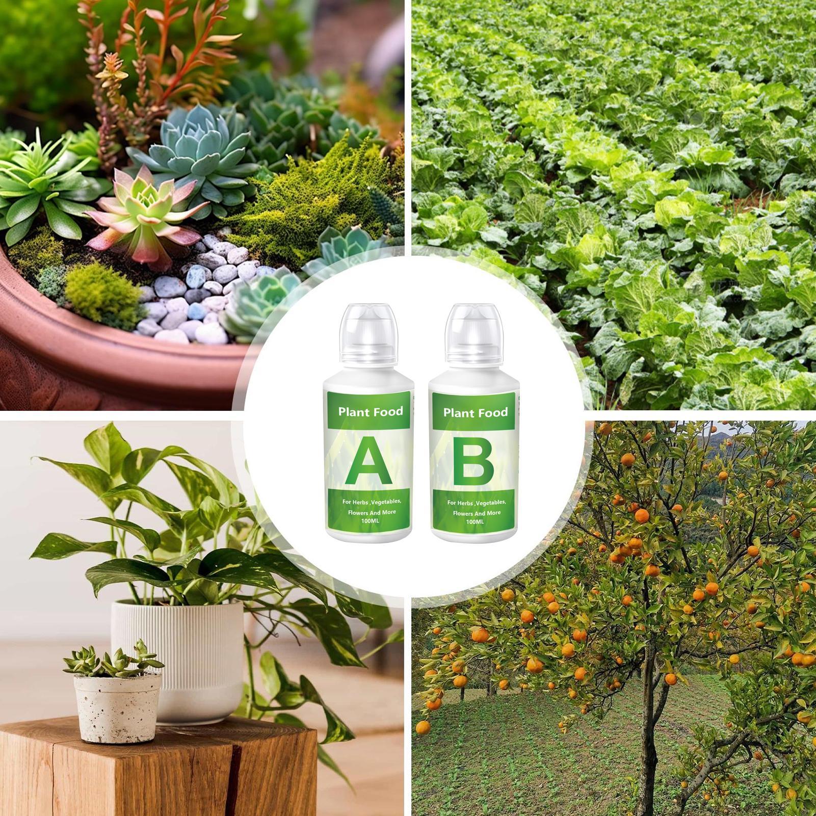 Hydroponic Nutrients Fertilize - Nutrient Solution Ab 리뷰 및 가격