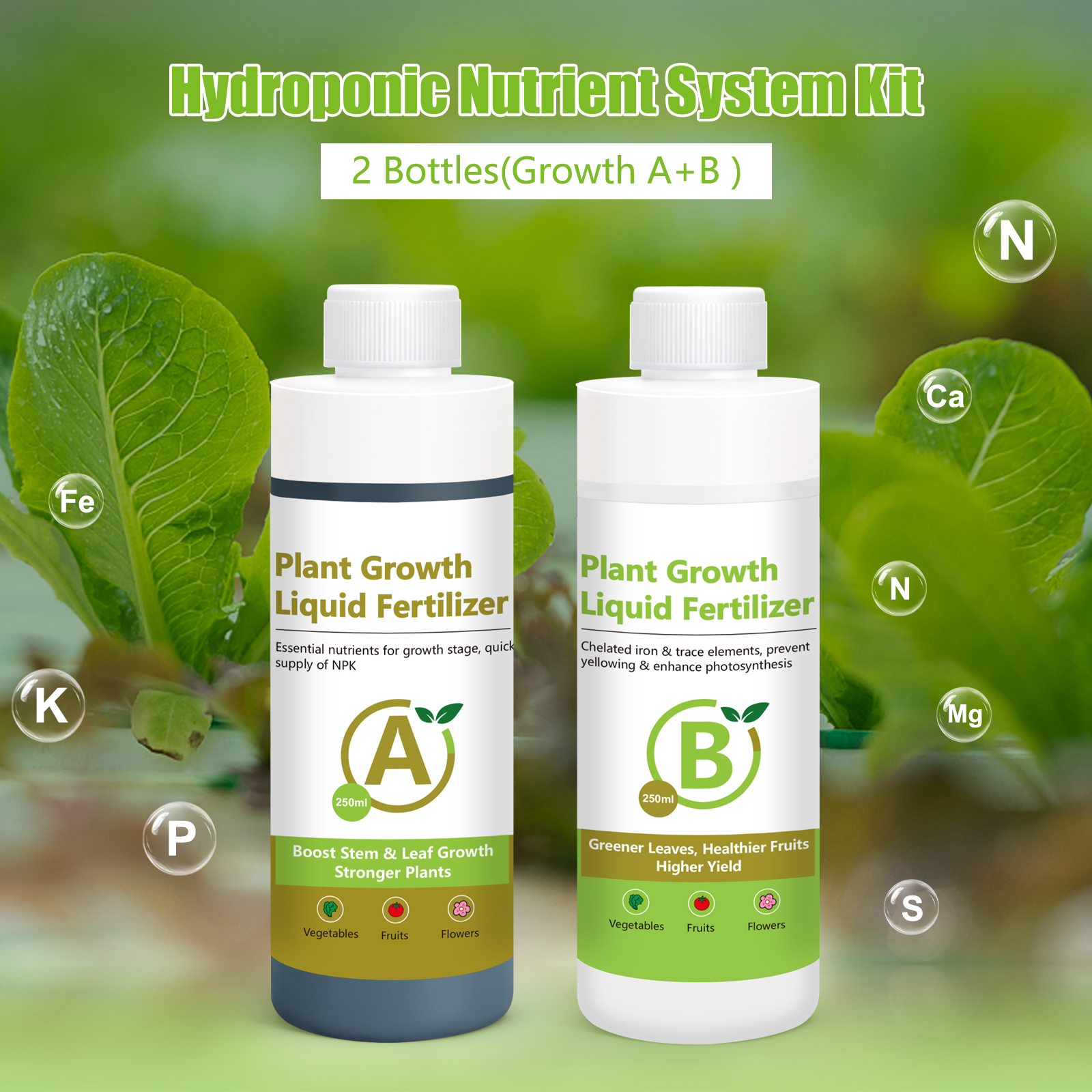 Yieryi 250ML Hydroponic Nutrie - Nutrient Solution Ab 리뷰 및 가격