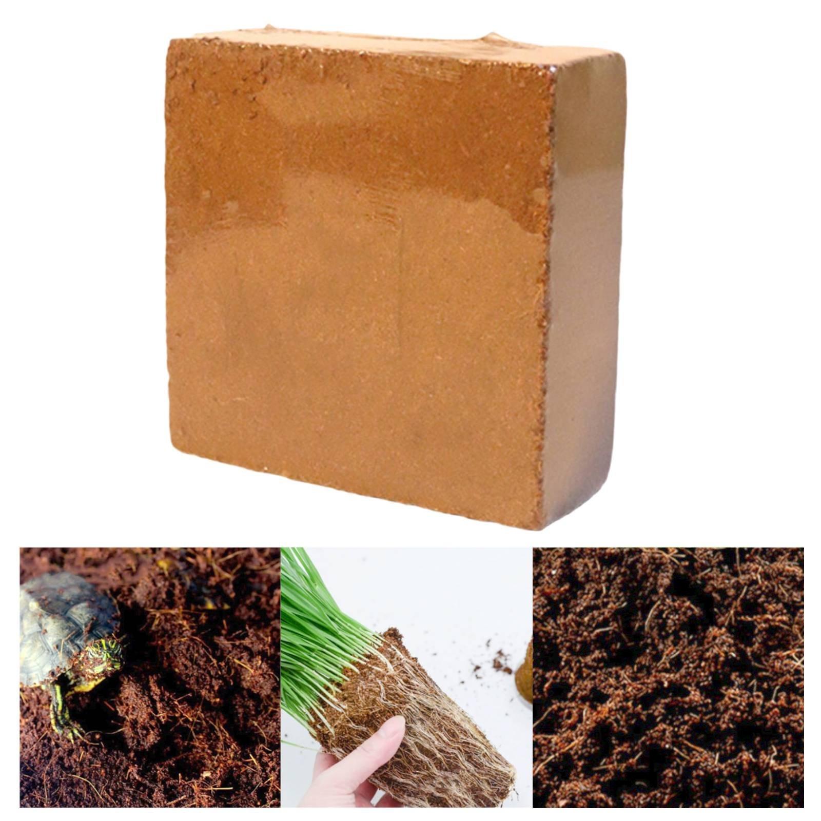 Cocos Coir Brick All Natural P - Coco Coir Block 리뷰 및 가격