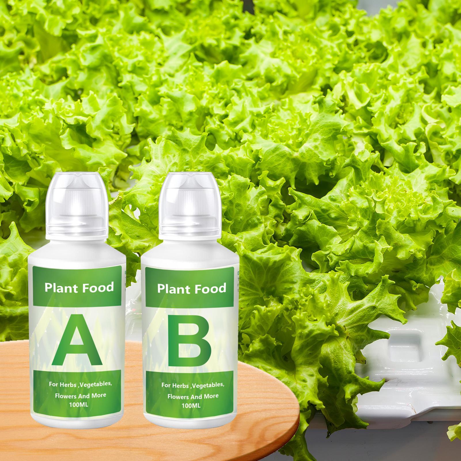 Hydroponic Nutrients Fertilize - Nutrient Solution Ab 리뷰 및 가격