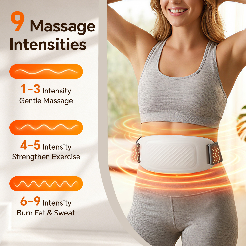 Heated Abdominal Slim Massager - Nutrient Solution Ab 리뷰 및 가격