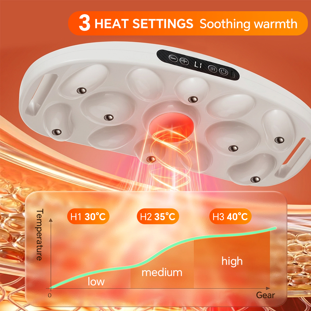 Heated Abdominal Slim Massager - Nutrient Solution Ab 리뷰 및 가격