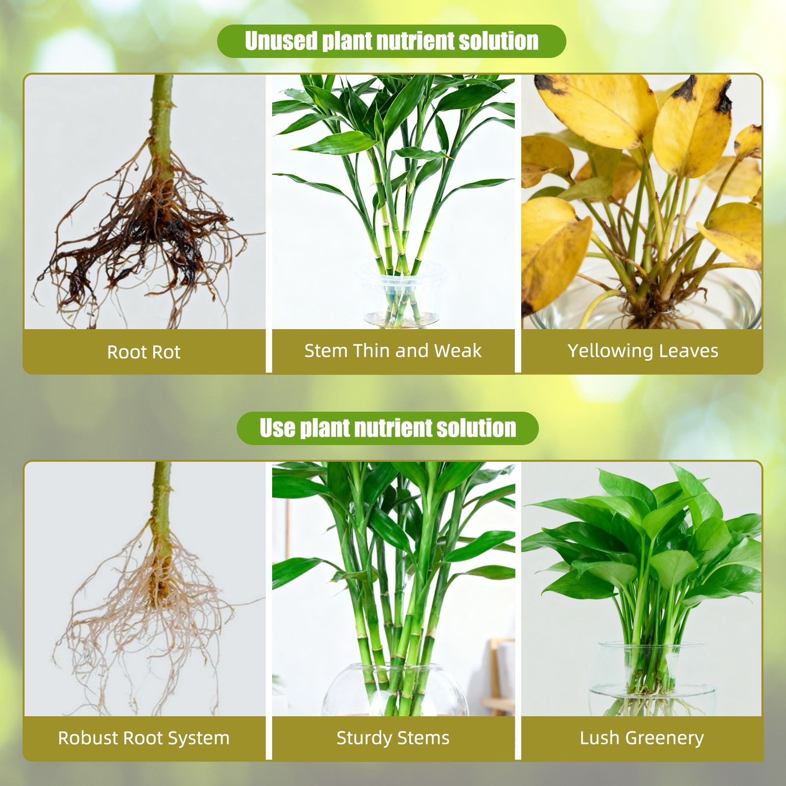 Hydroponic Nutrient Solution A - Nutrient Solution Ab 리뷰 및 가격