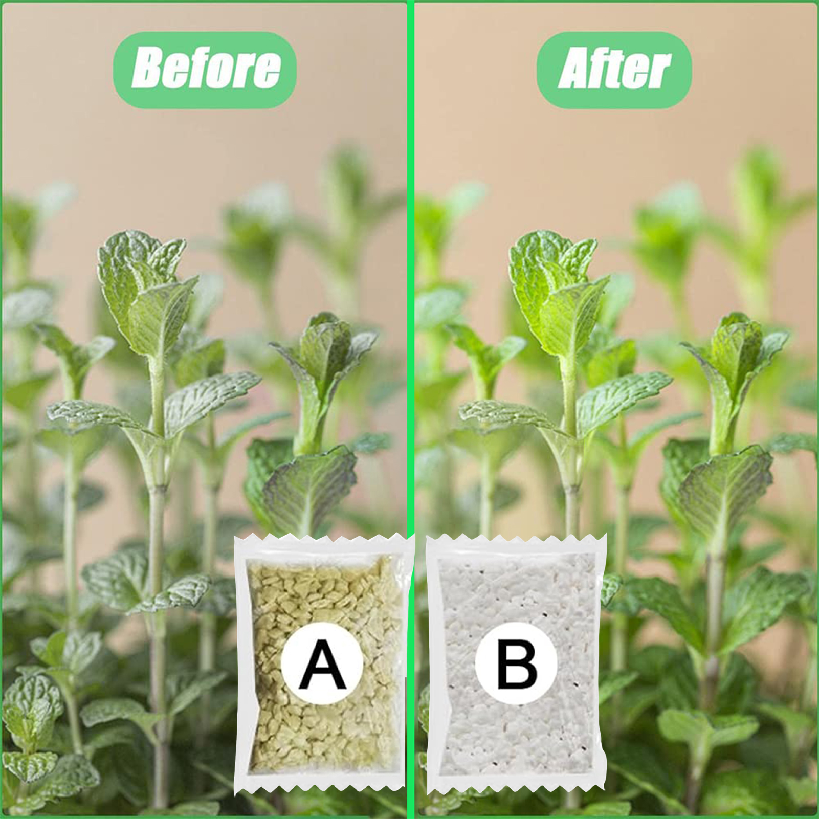 Hydroponic Nutrients Fertilize - Nutrient Solution Ab 리뷰 및 가격