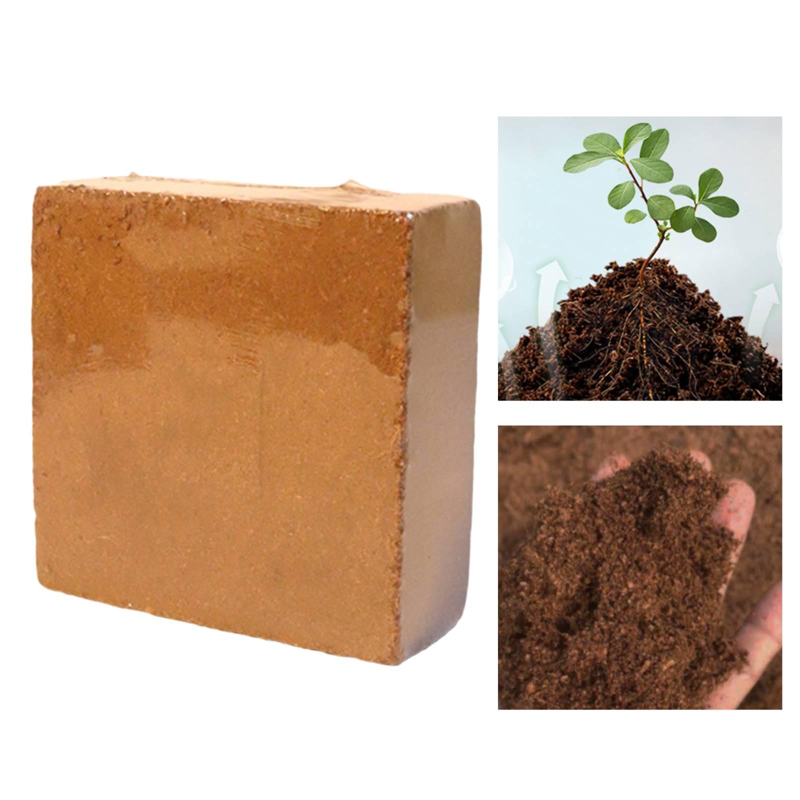Moisture Holding Cocos Coir Co - Coco Coir Block 리뷰 및 가격