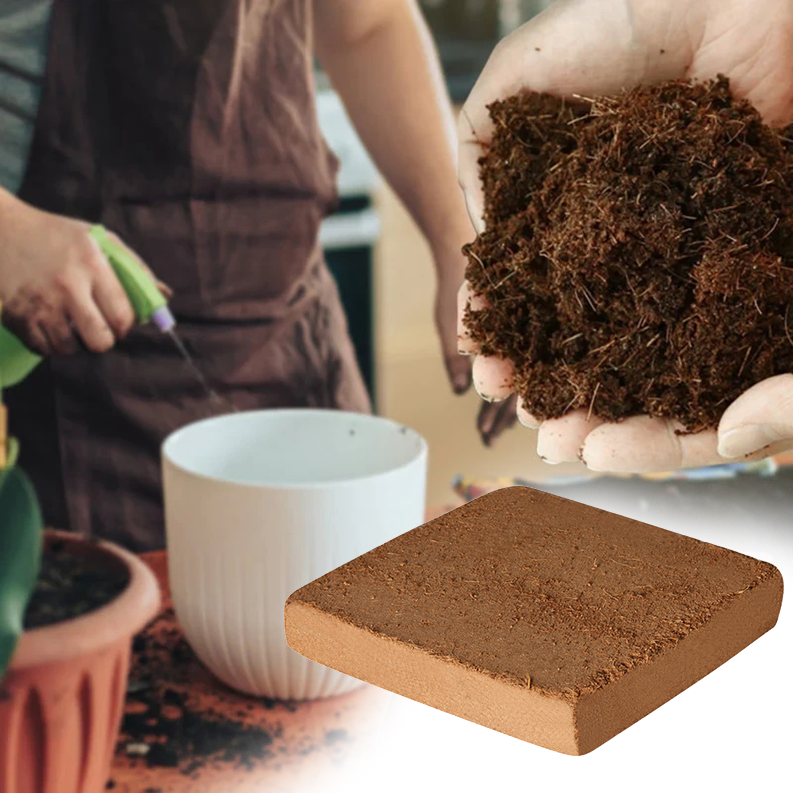 Soil Coconut Fibre Terrarium S - Coco Coir Block 리뷰 및 가격