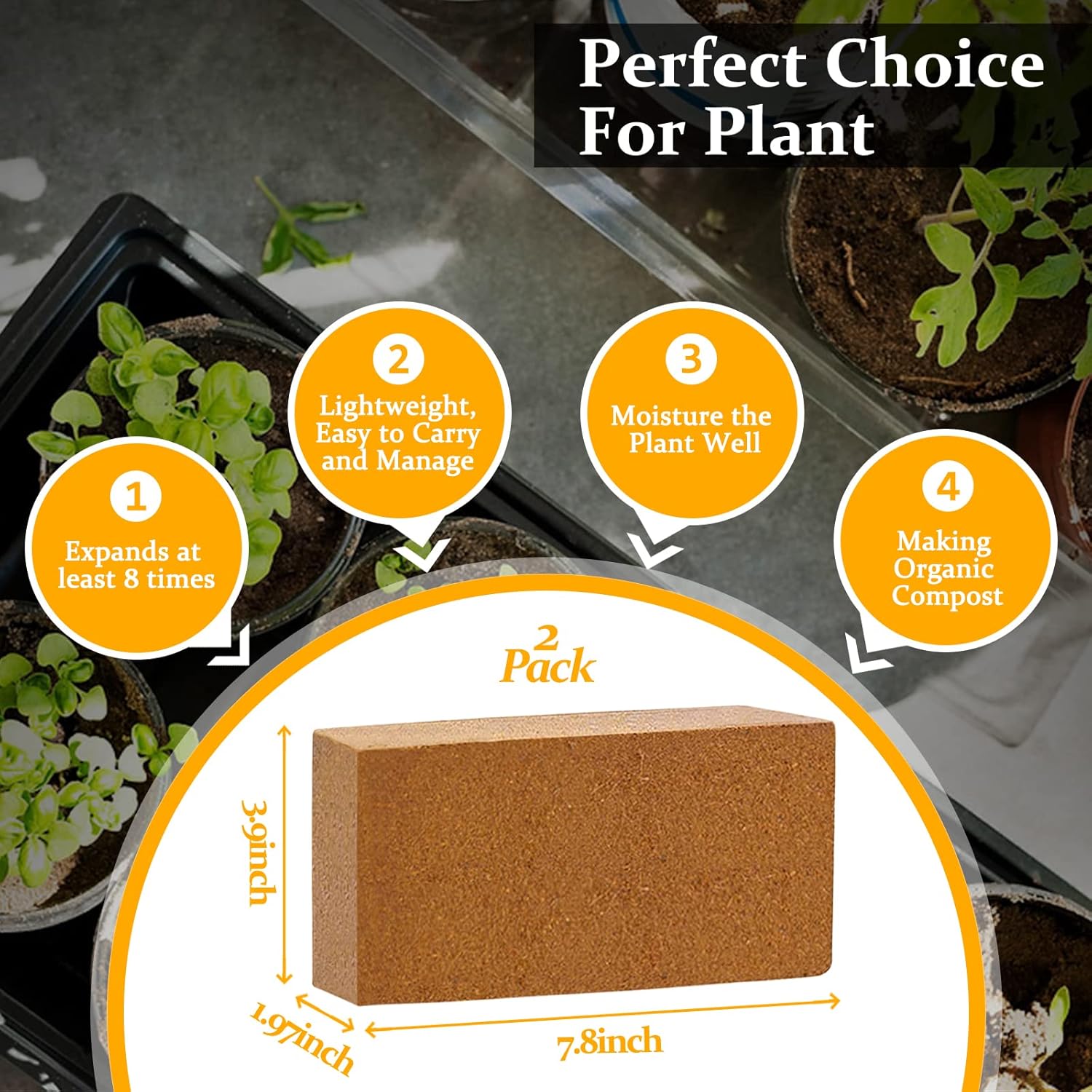 2pcs Organic Coco Coir Bricks  - Coco Coir Block 리뷰 및 가격