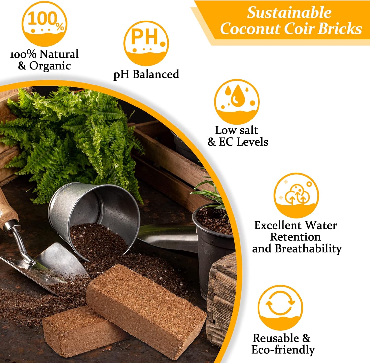 2pcs Organic Coco Coir Bricks  - Coco Coir Block 리뷰 및 가격